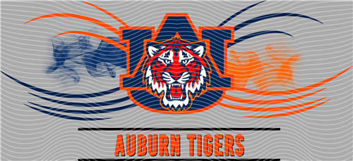 16oz Latest Bestseller-C 5980